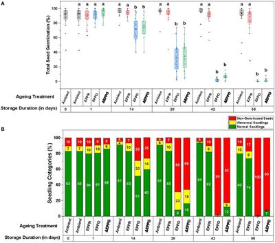 Experimental rice seed aging under elevated oxygen pressure: Methodology and mechanism